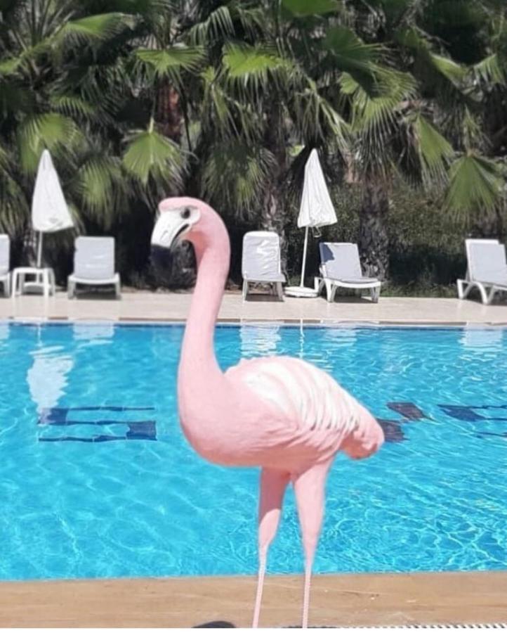 Skys Beach Hotel Manavgat Exteriér fotografie