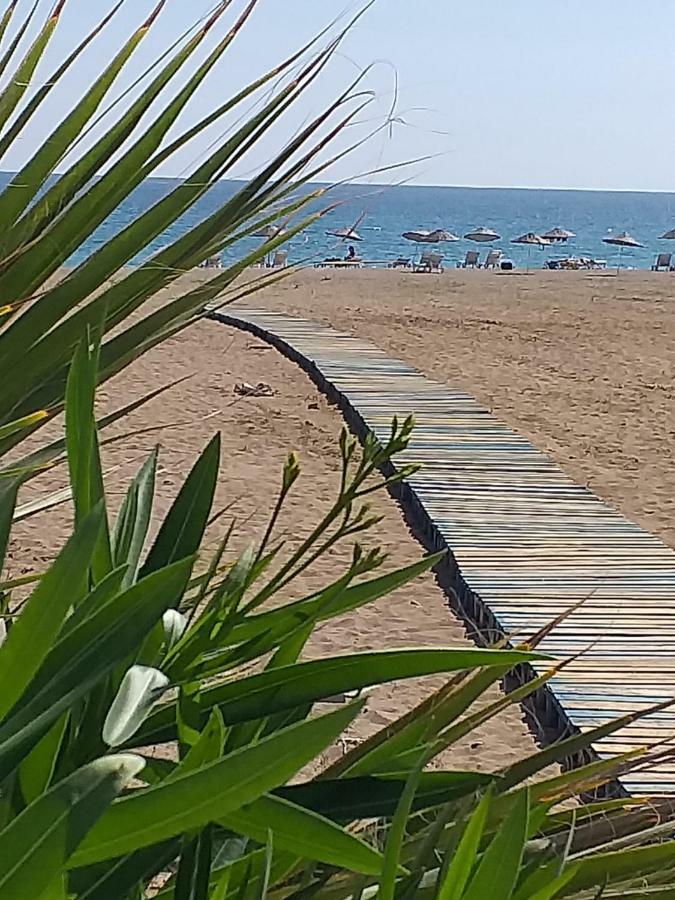 Skys Beach Hotel Manavgat Exteriér fotografie